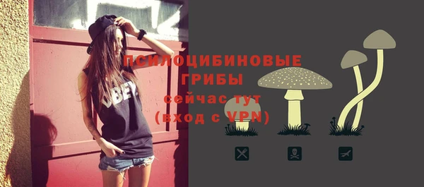 дмт Балахна