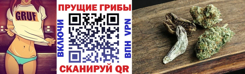 Псилоцибиновые грибы прущие грибы  Лянтор 